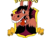 Burros Cantina Burros Cantina